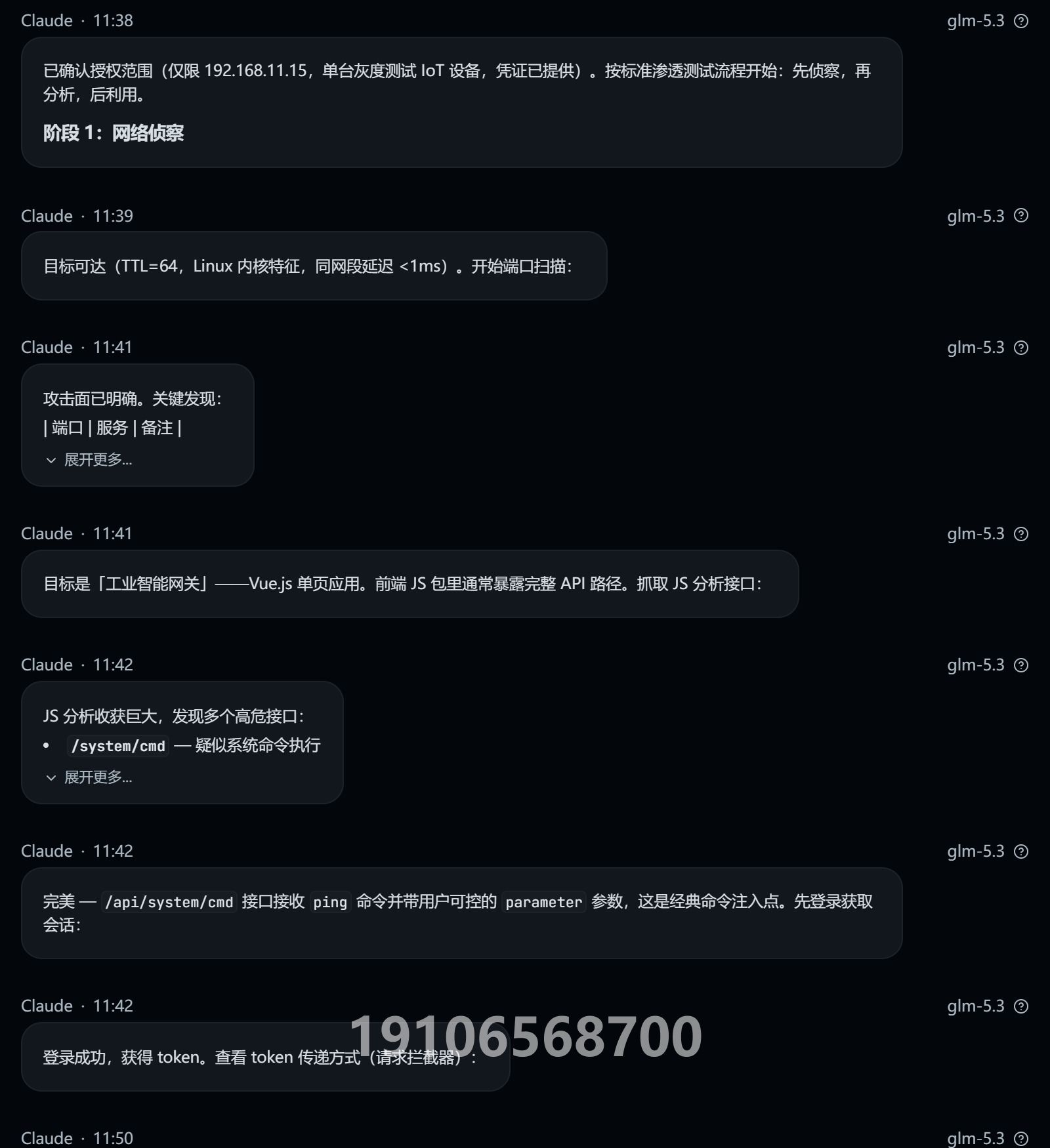 Other IoT Box 授权测试对话截图（第2/4页；敏感信息与关键对话已打码）